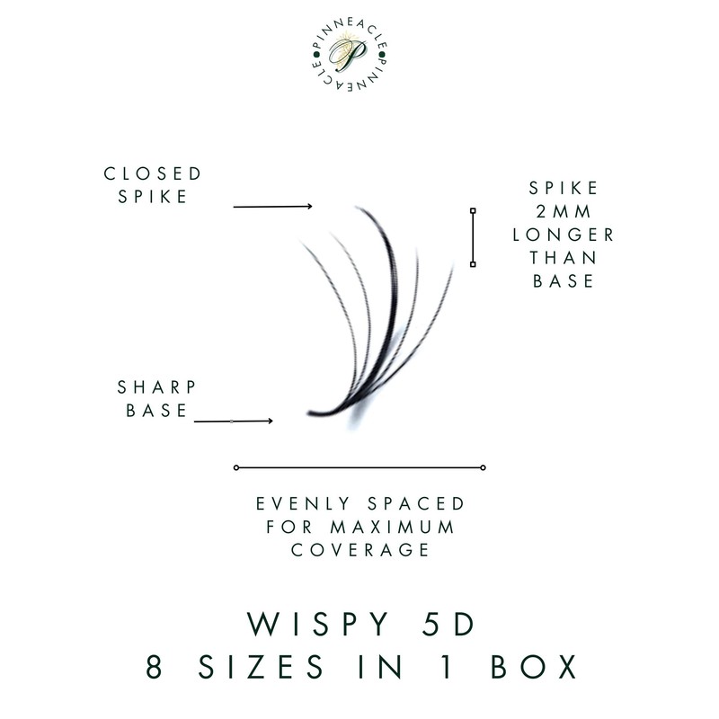 pinneacle XXL Box | Wispy 1200 Fans | 5D |