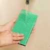 Azuma Industries TK Brushing Sponge, Spare for Entryway Tile Pattern,