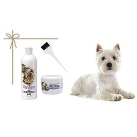 #1 All Systems Pure White Lightening Shampoo + Shazam Super Whitening Gel + Applicator Brush