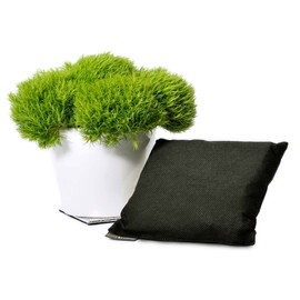 Ever Bamboo Room Deodorizer & Dehumidifier w/All Natural Bamboo Charcoal (2 Pack). Has a Sneaky Stink Come to Stay in Your Room? Show it Out with Ever Bamboo!