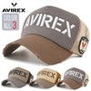 AVIREX Big Logo Embroidered Mesh Cap, multicolor (gray / black)