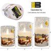 Wondise Santa Claus Glass Flameless Candles Remote and Timer, Battery