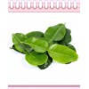 Fresh 1x Pack Of Organic Fresh Kaffir (Thai) Lime Leaves