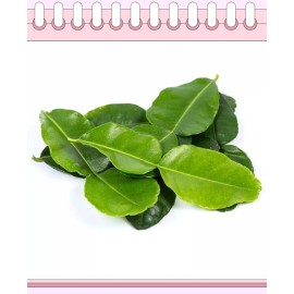 Fresh 1x Pack Of Organic Fresh Kaffir (Thai) Lime Leaves 1oz.