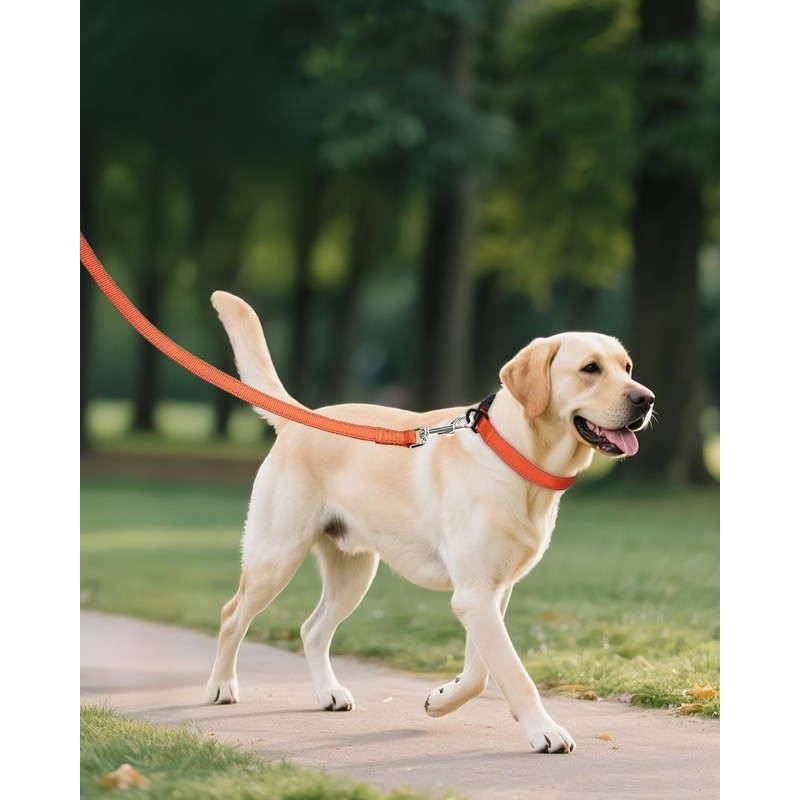 Joytale Reflective Dog Collar, Adjustable Nylon Pet Collar with Quick-Release