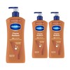 Vaseline Body Lotion Intensive Care Cocoa Radiant, 3 x 600ml