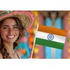 India Handheld Small Flag Set,10 PCS 5×8 Inch Mini Indians