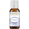 Pennyroyal Essential Oil 10 ml 100% Pure Undiluted Therapeutic Grade.