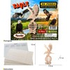 Puzzled 3D Puzzle Eagle Wood Craft Construction Model Kit, Fun,