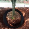 20ft x 24in x 60mil Tree Root Barrier for Landscaping