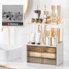 Delamu Bathroom Organizers and Storage, 2 Tier 3 Drawer Makeup