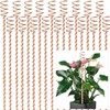 18Pack Electroculture Plant Stakes, 12" Electroculture Copper Gardening Antenna, Copper