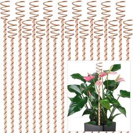 18Pack Electroculture Plant Stakes, 12" Electroculture Copper Gardening Antenna, Copper Coil Plant Stakes for Garden,Garden Stakes for Plants Fruits Vegetables Growth,Eco-Friendly,High-Yield