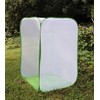 5 Feet Extra Large Monarch Butterfly Habitat, Giant Collapsible Insect