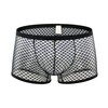 Swbreety Men's Sheer Mesh Fishnet Low Rise Boxer Briefs See