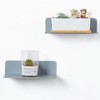 OAPRIRE Grey Acrylic Floating Shelves Set of 2 - Easily