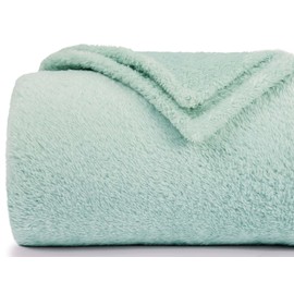 Felesha Fingal Plush Fleece Throw Blanket for Couch and Bed, Fluffy Fuzzy Cozy Queen-Size Soft Blankets All Season Use (60x80 Inches,Aqua)
