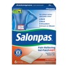 Salonpas HOT Gel Patch, 6 Count