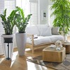 Adjustable Plant Risers for Inside Pots, 11-20" Rise Planter Insert