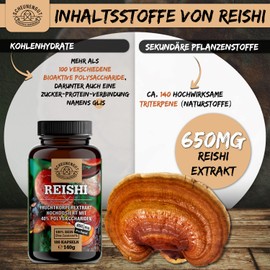 Scheunengut Reishi -1950mg je Tagesdosis- WICHTIG: 20:1 Extrakt (=39000mg Reishi pro Dosis) MIT 40% bioaktiven Polysacchariden I 180 Reishi Kapseln I Laborgeprüft und Vegan -DE- SCHEUNENGUT®