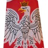 60" Poland Polish Eagle Embroidered Wind Sock Windsock