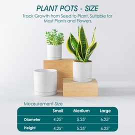 vancasso Ceramic Plant Pots, 3 Piece Planters for Indoor Plants, 4.25+5.25+6.25 Inch Flower Pots with Drainage, Plant Pots Indoor for Succulent, Pothos, Snake Plant and Money Tree, Etc (White)