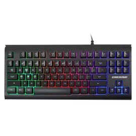 Lumsburry Computer Keyboard, 87 Keys Compact Wired USB Keyboard with Rainbow LED Light Up Backlit for PC Gaming Laptop Teclado Gamers Office Working