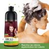 Shampoo Tinte Cubre Canas Rojo Vino Herbishh 500ml