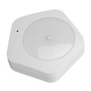 Night Light Exquisite Beautiful Safe Reliable Decorative Remote Control Lamp