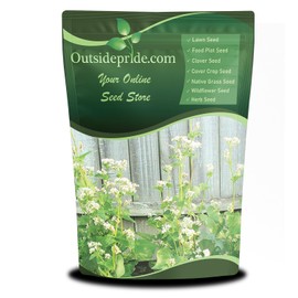 Outsidepride Buckwheat Seeds - 20lbs Annual, Fast-Growing, Easy to Grow Buckwheat Cover Crop Seeds for Green Manure, Bee Pasture & Pollinators, Wildlife Habitat, Soil Improvement, and Erosion Control