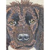 Boykin Spaniel Machine Embroidered and Framed! Other Breeds Available! -