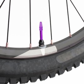 Classicseali 20pcs Presta Valve Caps, Aluminum Bike Valve Caps, Corrosion Resistant, French Valves Alloy Bike Dust Cap for MTB Road Racing Bicycle,10 Colors