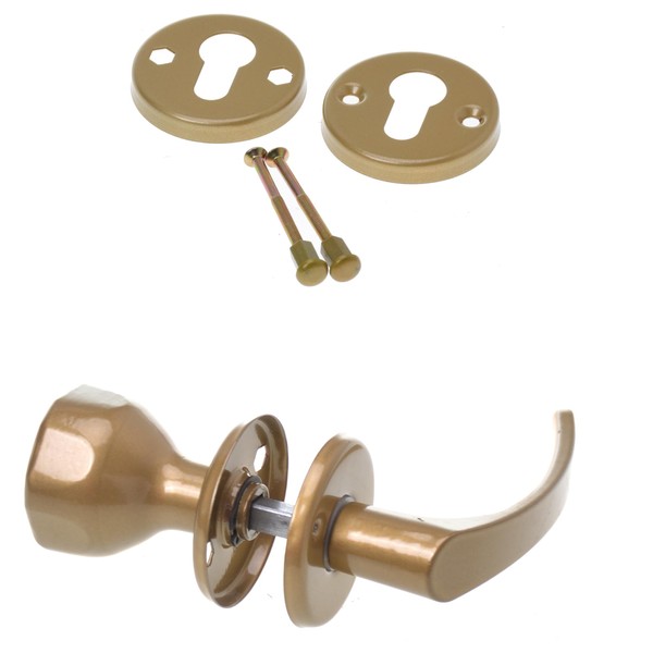 Aqbau® Door Handle with Door Knob & Rosette PZ |
