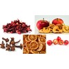 TESIS TISANA MEZCLA DE FRUTAS, CANELA Y JAMAICA; PONCHE MEXICANO,