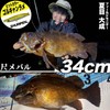Legare Shuripen 55 #021 Full Clear