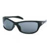 Coleman Sunglasses CO2022-1
