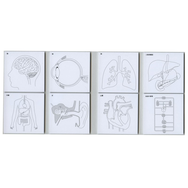 Paper Seasonal Sticky Note Study Tips FS-SST003 Sticky Notes for