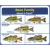 Ident-I-Cards Bass Family Freshwater Fish Identification Card