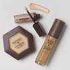 Burt's Bees Concealer (Tan)