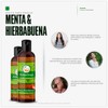 VIDA SCENTS AROMATHERAPY - Aceite Para Masaje Menta y Hiebabuena