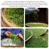 Yuexi Longjing Green Tea Loose Leaf New Tea Dragon Well