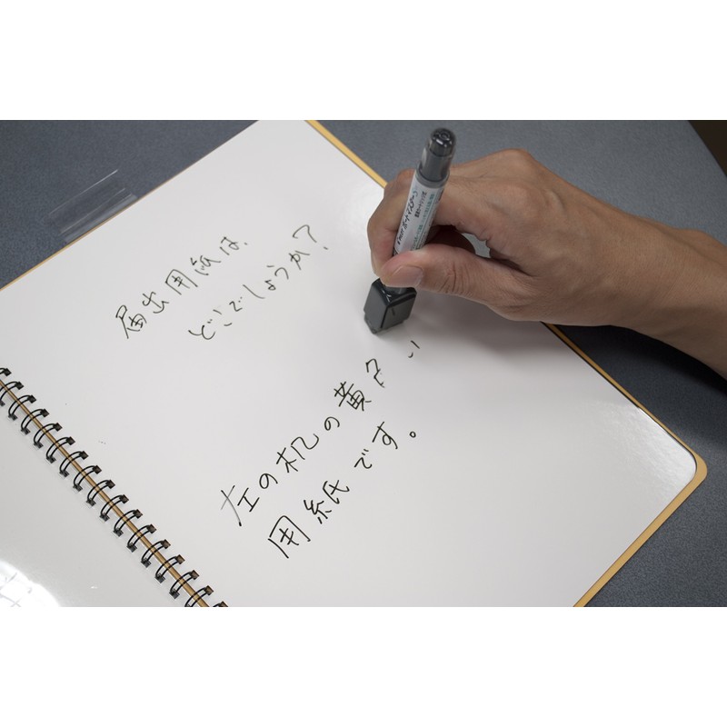 European Print DUDHB01L01 Notebook-Type Dry Erase Board, Writing Communication Board,