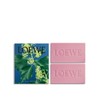 Loewe Ivy Scented Soap Duo Set (125g2) Pink / 로에베