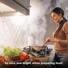 6PCS x 12 Inch Under Cabinet Lights Plug-in, Dimmable LED Under Cabinet Lighting, Cold White 6000K Under-Counter Light Fixtures with Memory Function, Under Counter LED Lights for Kitchen