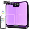 RENPHO Smart Scale for Body Weight, BMI, Body Fat, Muscle