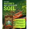 FoxFarm Happy Frog Potting Soil, 12qt – for Indoor/Outdoor Container