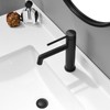 phiestina Bathroom Sink Faucet, Vanity Faucet with Water Supply Lines
