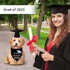Graduation Dog Cap and Bandana Set My Mom Graduated 2025
