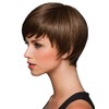 Short and Sleek Wig Color SS14/88 SHADED GOLDEN WHEAT -