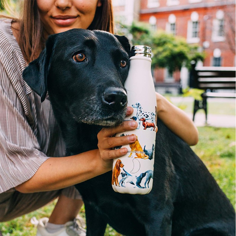 Chilly's Water Bottle - Stainless Steel and Reusable - Leak